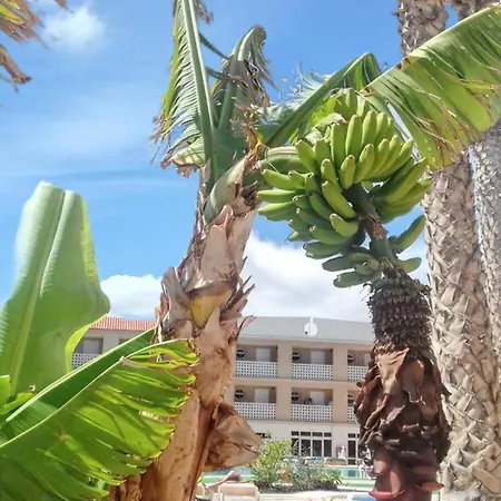 Charming In Costa Del Silencio, 45 M², Near Pool Διαμέρισμα