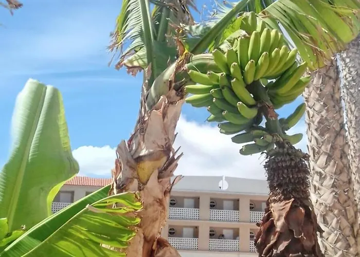 Charming In Costa Del Silencio, 45 M², Near Pool Apartamento