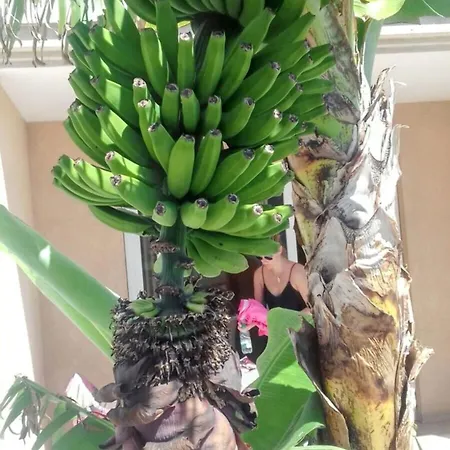 Daire Charming In Costa Del Silencio, 45 M², Near Pool Costa Del Silencio